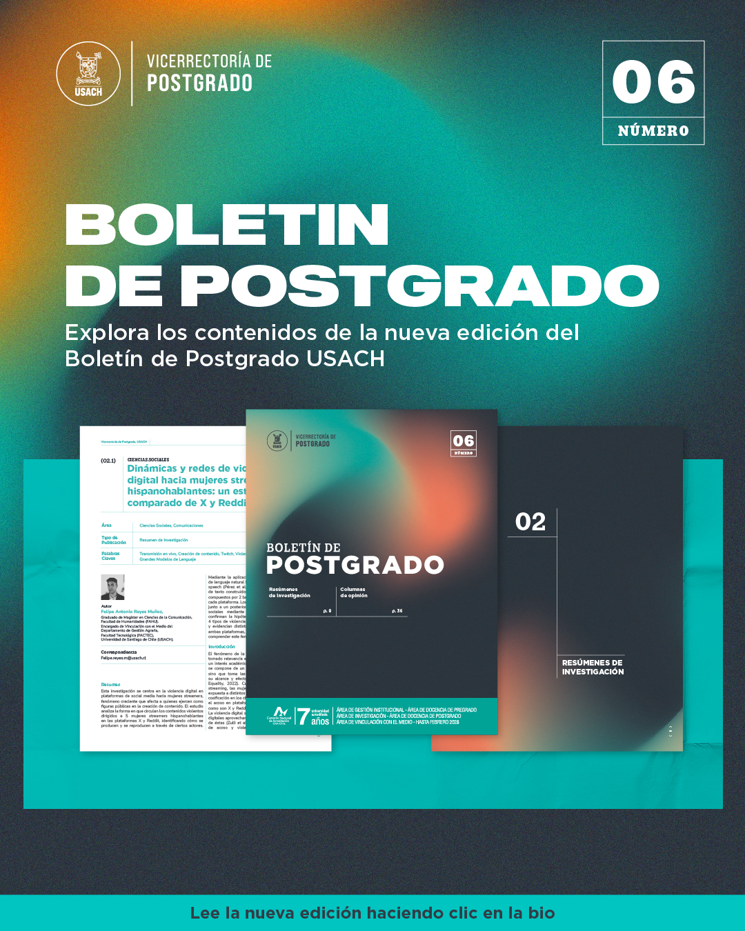 Boletín06