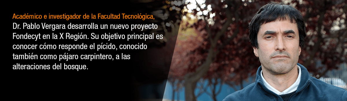 Seguir leyendo...
